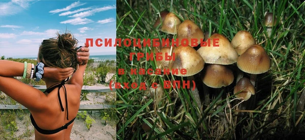 шишки Белоозёрский