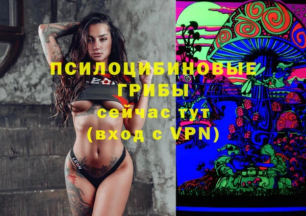 дурь Балахна