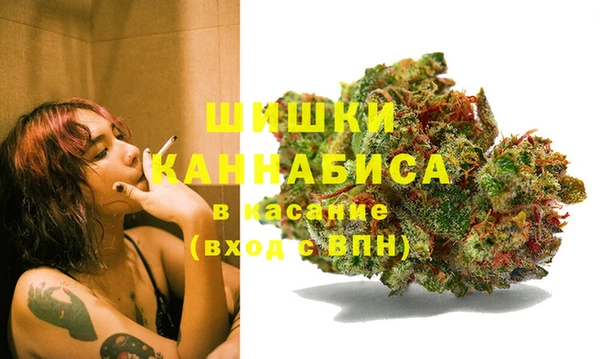 шишки Белоозёрский