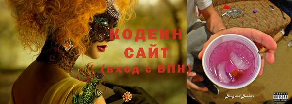 шишки Белоозёрский