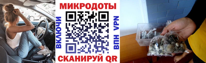 Галлюциногенные грибы Psilocybine cubensis Кунгур